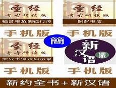 超新约全书解说
